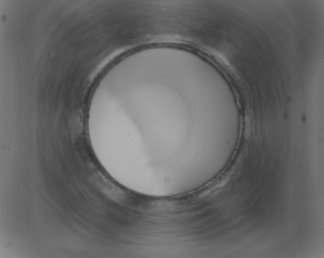 X0000081301212200702012301