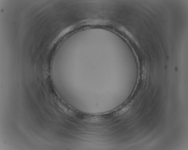 X0000081301213200702012301