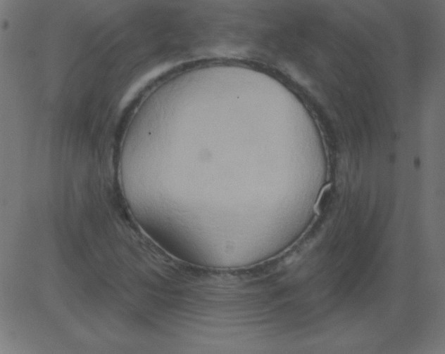 X0000081301214200702012301