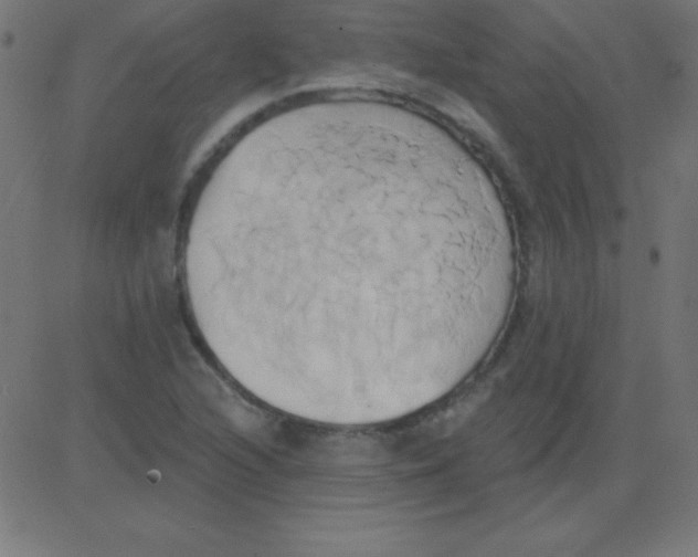 X0000081301216200702012301