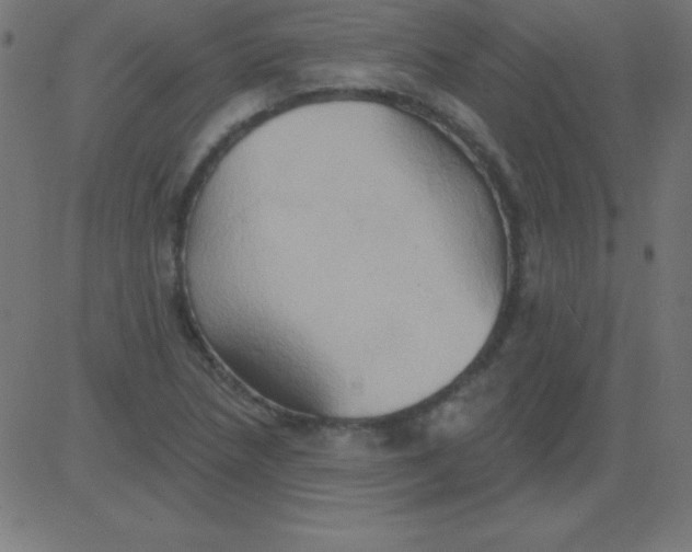 X0000081301218200702012301