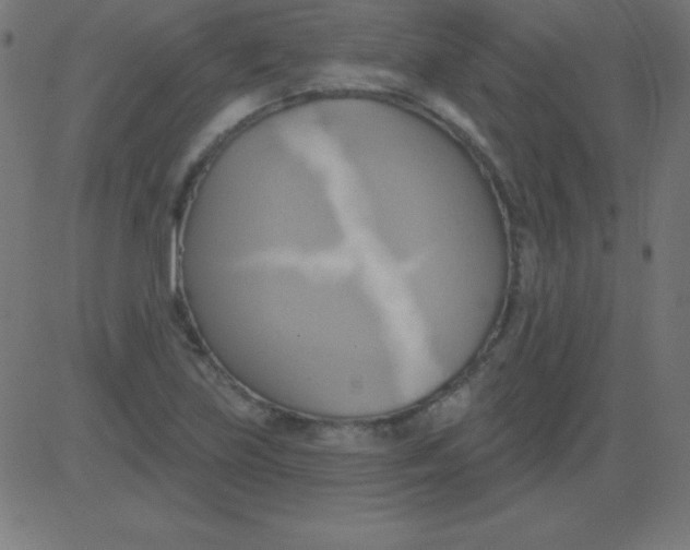 X0000081301219200702012301