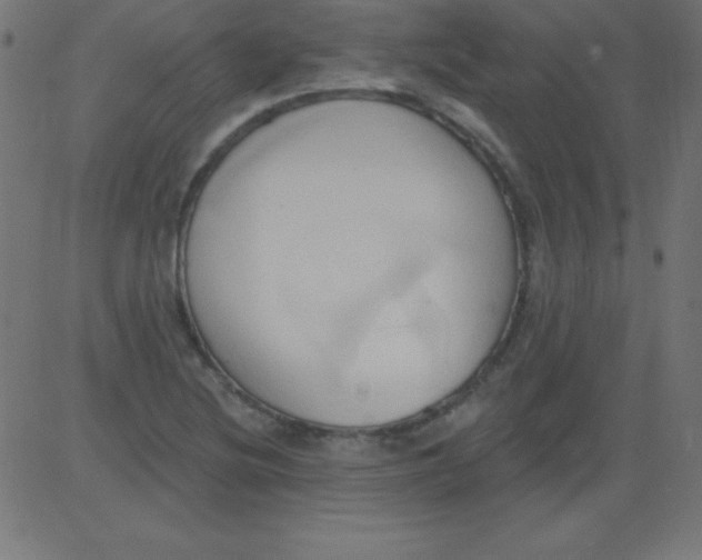 X0000081301220200702012301