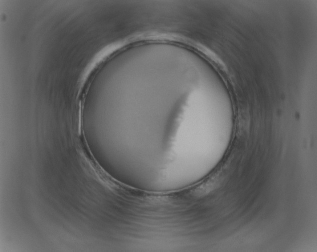 X0000081301223200702012301