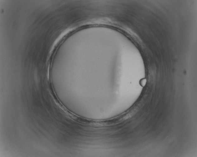 X0000081301224200702012301