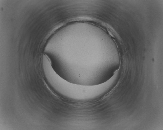 X0000081301225200702012301