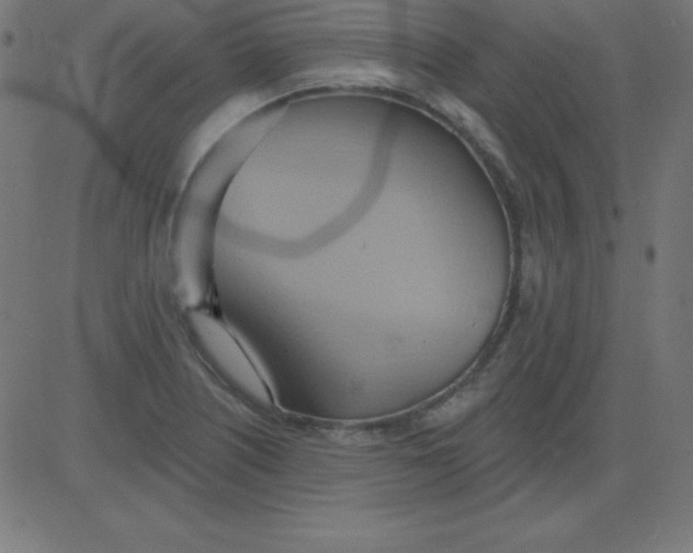 X0000081301226200702012301