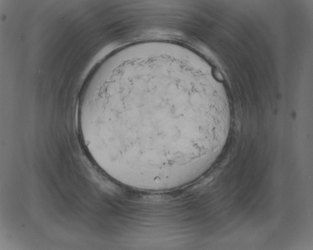 X0000081301227200702012301