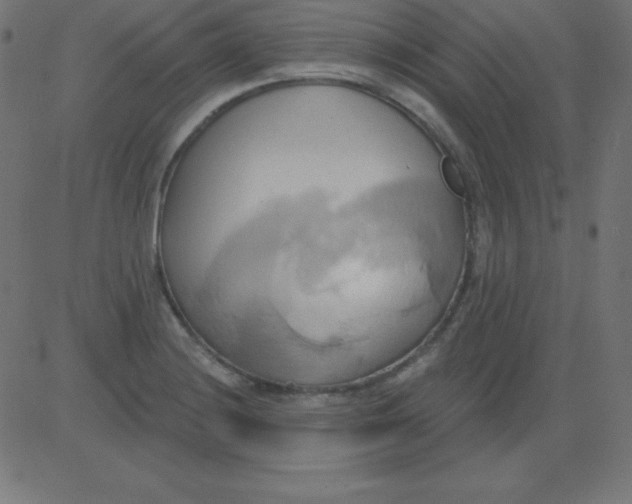 X0000081301228200702012301