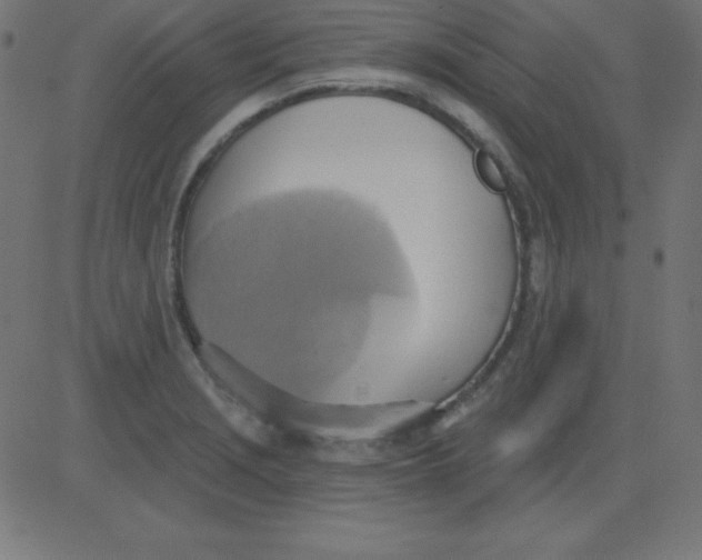 X0000081301229200702012301