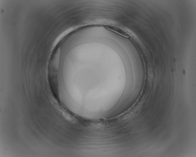 X0000081301230200702012301