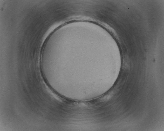 X0000081301231200702012301