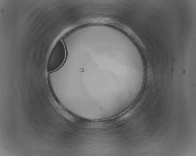 X0000081301232200702012301