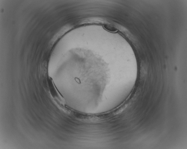 X0000081301233200702012301