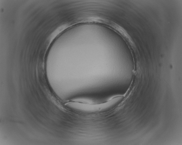 X0000081301234200702012301