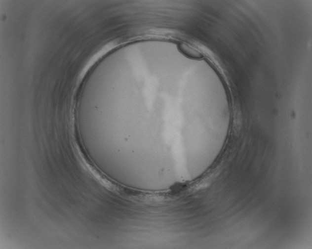 X0000081301235200702012301