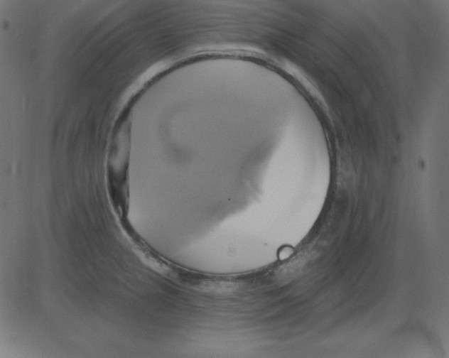 X0000081301237200702012301