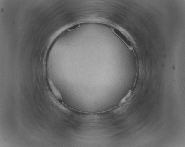 X0000081301238200702012301