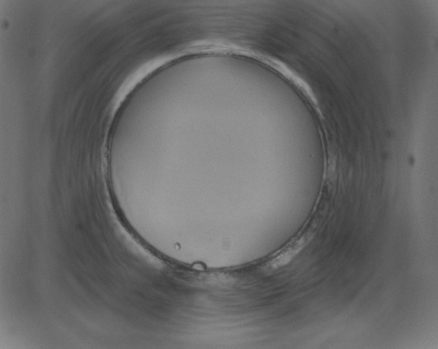 X0000081301239200702012301