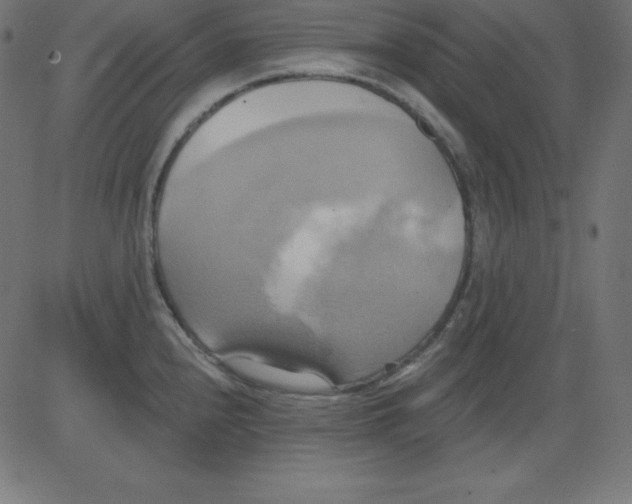 X0000081301240200702012301