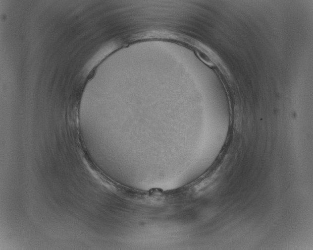 X0000081301241200702012301