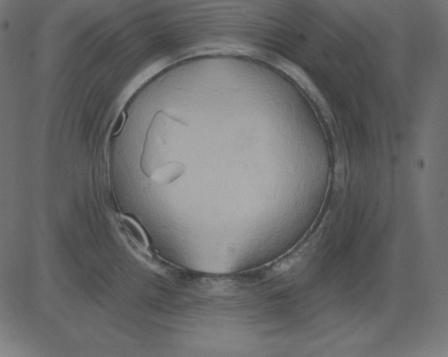 X0000081301242200702012301