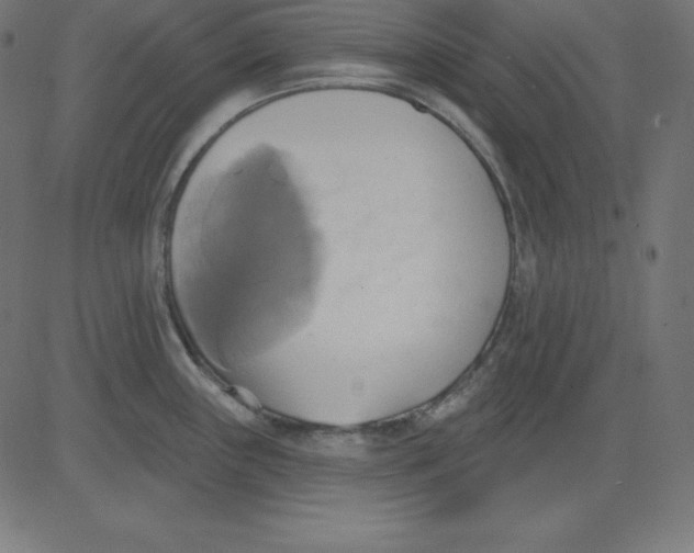 X0000081301243200702012301