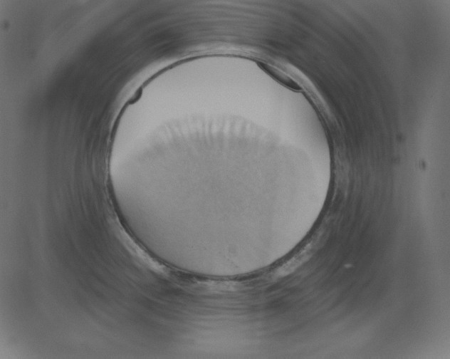 X0000081301244200702012301