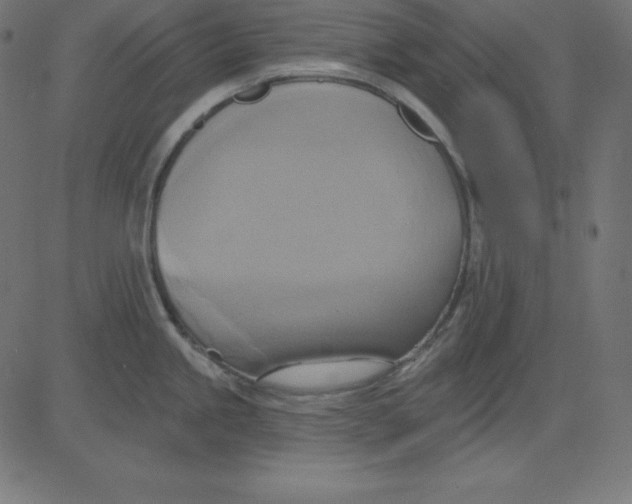 X0000081301245200702012301