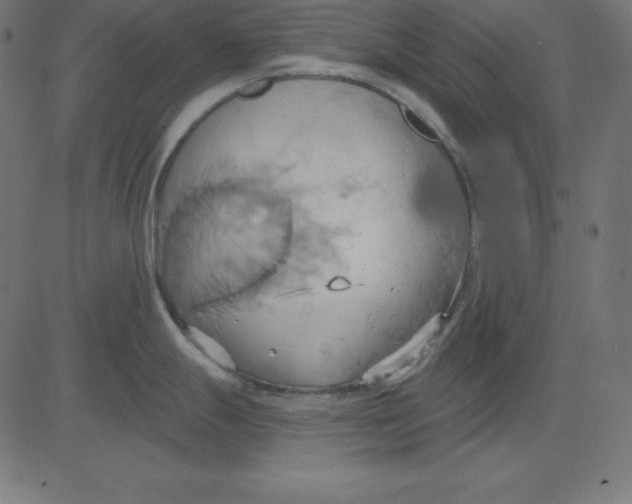 X0000081301247200702012301