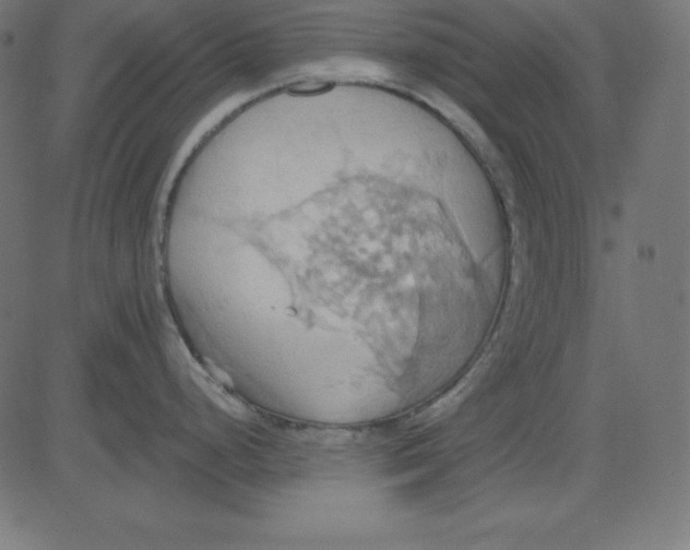 X0000081301248200702012301