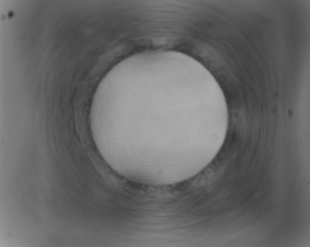 X0000081301249200702012300