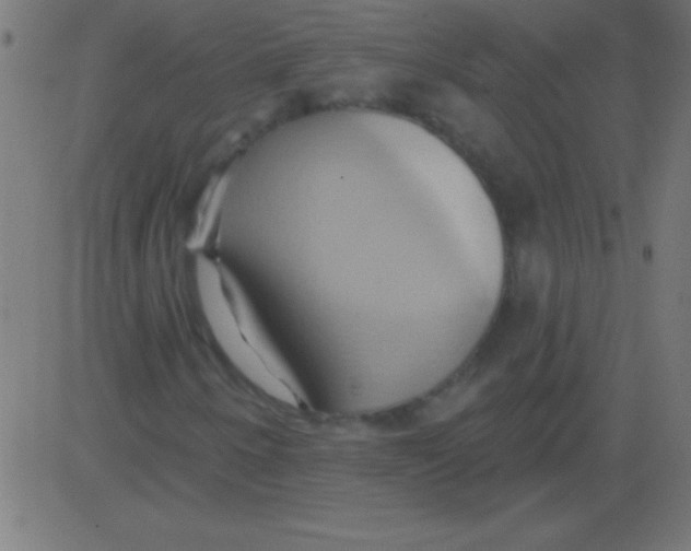 X0000081301250200702012300