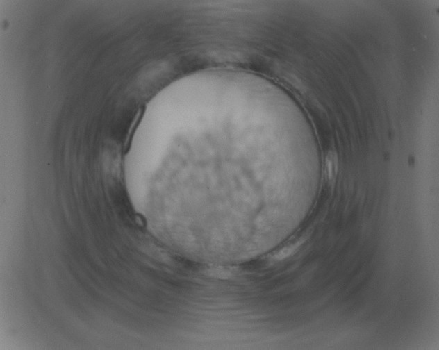 X0000081301251200702012300