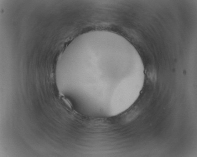 X0000081301252200702012300