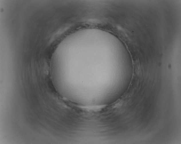 X0000081301253200702012300