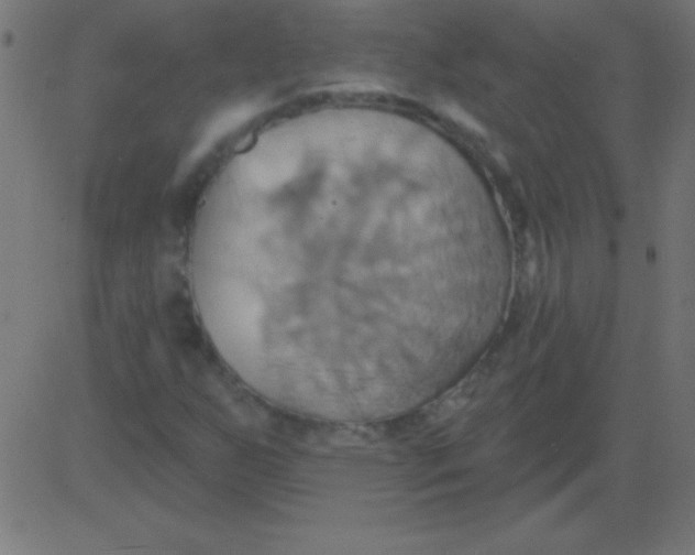 X0000081301255200702012300