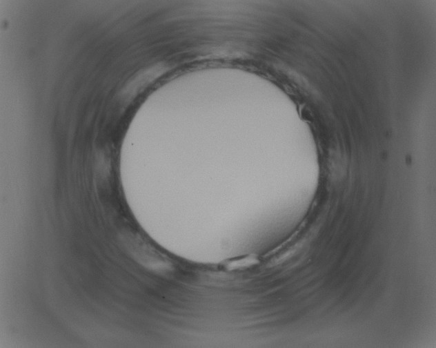 X0000081301257200702012300