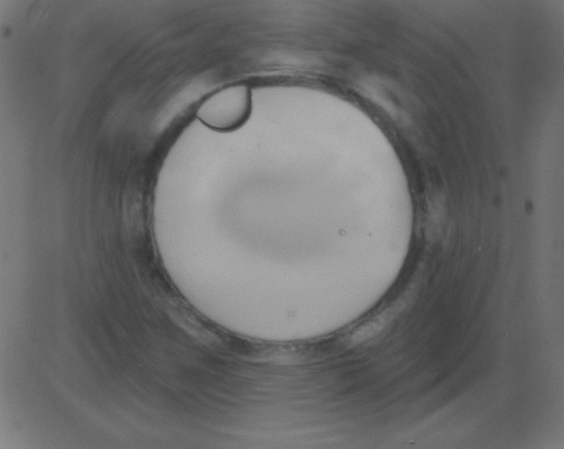 X0000081301259200702012300