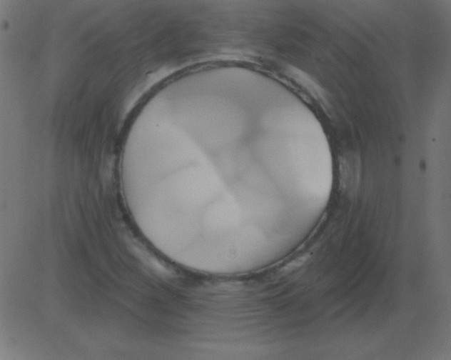 X0000081301260200702012300