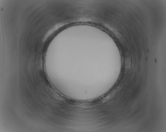 X0000081301262200702012300