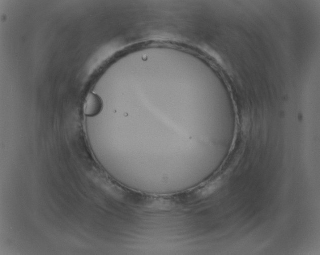 X0000081301263200702012300