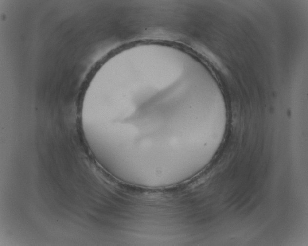 X0000081301264200702012300