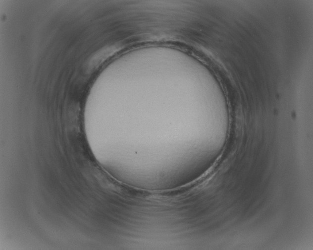 X0000081301265200702012300