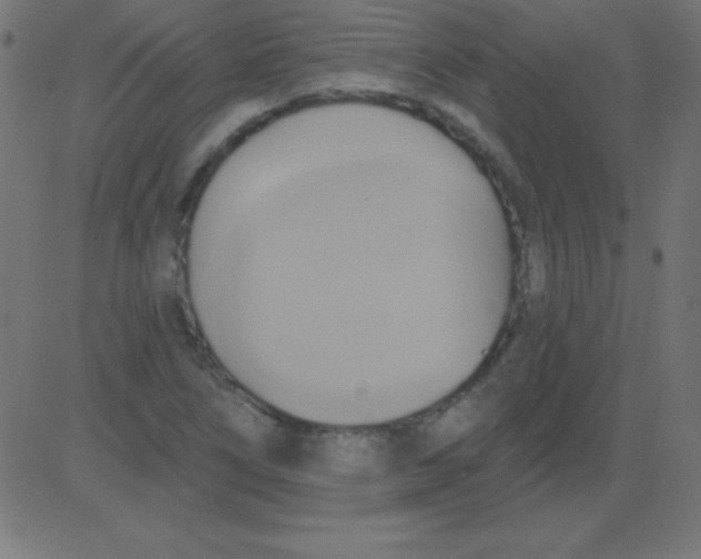 X0000081301266200702012300