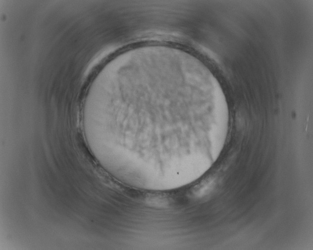 X0000081301267200702012300