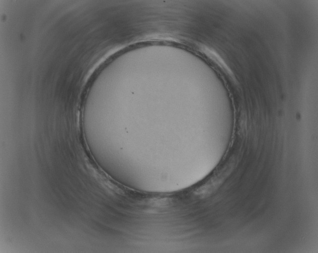 X0000081301268200702012300