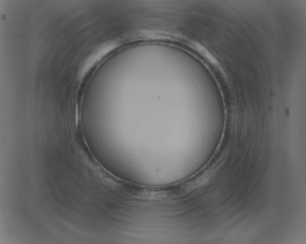 X0000081301269200702012300