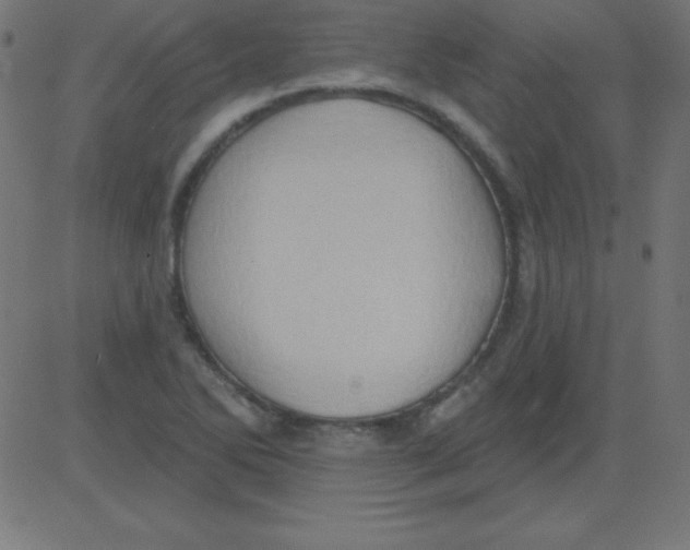 X0000081301270200702012300