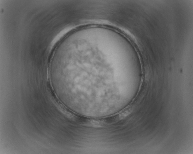 X0000081301271200702012300